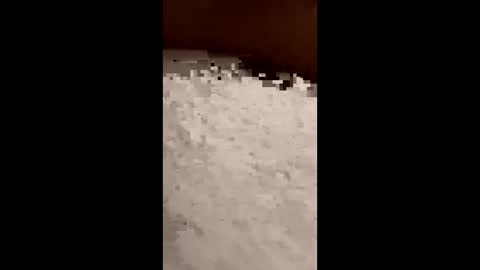 txcouple281 online show from November 16, 2025, 8:53 am