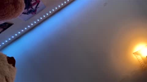 SexLover online show from February 17, 2026, 3:08 pm