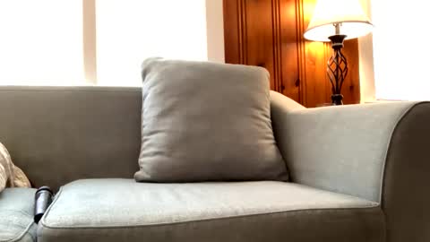 Tyler Sands online show from February 22, 2025, 3:14 pm