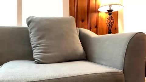 Tyler Sands online show from February 23, 2025, 1:42 pm