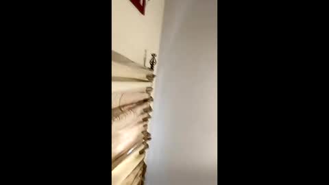 tyluroop online show from April 30, 2026, 5:19 pm