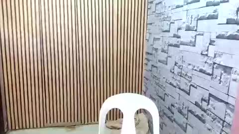 Snapshot of ur_asian_wife6969 chatting on March 18, 2026, 5:21 am ur_asian_wife6969 online show from March 18, 2026, 5:21 am