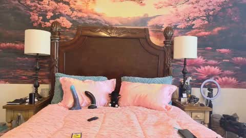 Ur Daylee dose online show from February 1, 2026, 7:56 pm