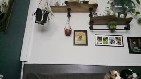 Snapshot of urdreamswonder chatting on February 8, 2026, 3:43 am MYMY online show from February 8, 2026, 3:43 am