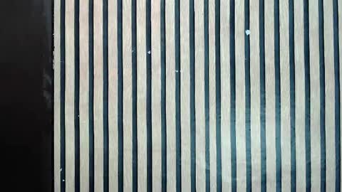 Jane online show from February 10, 2025, 11:57 am