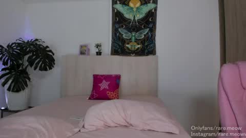    online show from April 6, 2026, 11:16 pm