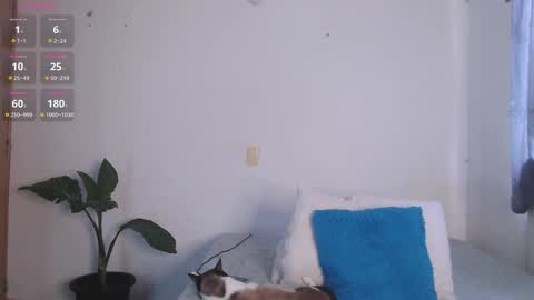 IG-valen mendoza99  twitter valenthompson99 online show from April 11, 2026, 1:04 pm