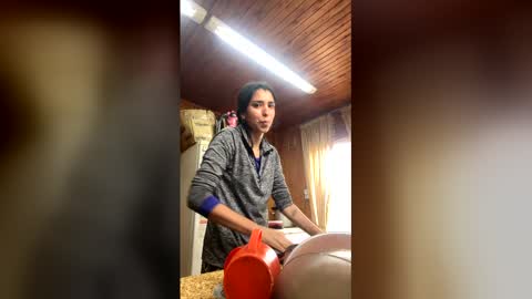 valeria_feroz online show from June 3, 2026, 2:55 pm