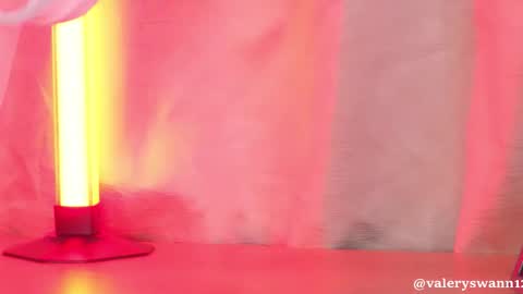 Snapshot of valery_swan1 chatting on September 24, 2025, 3:43 am Valery swan1 online show from September 24, 2025, 3:43 am