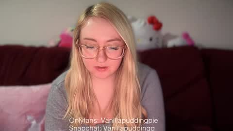 Snapshot of vanillapuddingpie chatting on December 10, 2024, 11:40 pm vanillapuddingpie online show from December 10, 2024, 11:40 pm