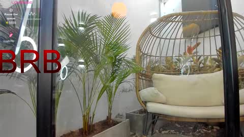 VENUS online show from February 1, 2026, 1:20 pm