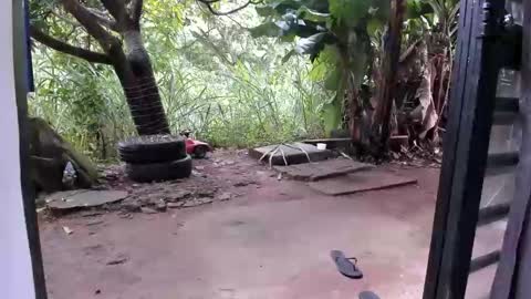 venus ... zeus sheer  online show from December 16, 2025, 12:54 pm