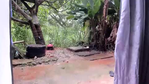 venus ... zeus sheer  online show from January 13, 2026, 12:43 pm