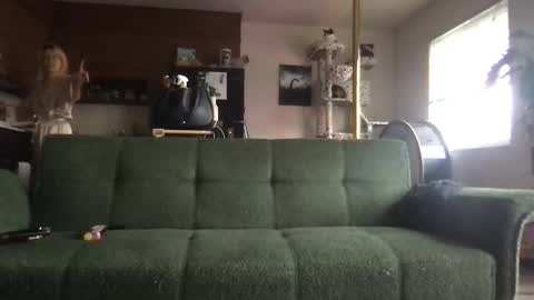Snapshot of venustheflytrap chatting on May 22, 2026, 9:31 pm venustheflytrap online show from May 22, 2026, 9:31 pm