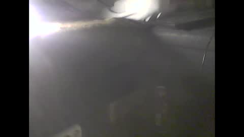 Im DanielVerdo  25 years old Lets have Fun and just ask what wanne know   tnew anal bigock cum  slave  fullnaked online show from January 9, 2025, 2:01 am