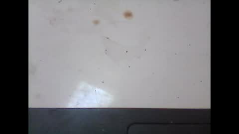 Im DanielVerdo  25 years old Lets have Fun and just ask what wanne know   tnew anal bigock cum  slave  fullnaked online show from February 18, 2025, 9:21 am