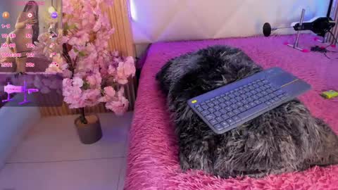 veronica_hill_ online show from June 3, 2026, 3:20 am