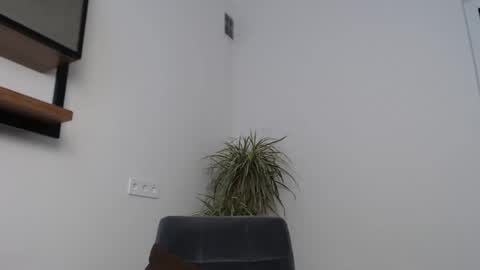 veronik_shy online show from February 12, 2026, 8:42 am