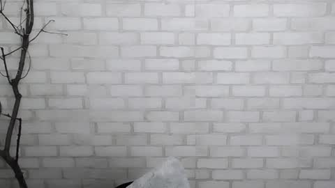 Snapshot of veryveryshygirl chatting on December 28, 2024, 3:59 pm Ana online show from December 28, 2024, 3:59 pm