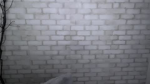 Snapshot of veryveryshygirl chatting on December 30, 2024, 1:36 pm Ana online show from December 30, 2024, 1:36 pm