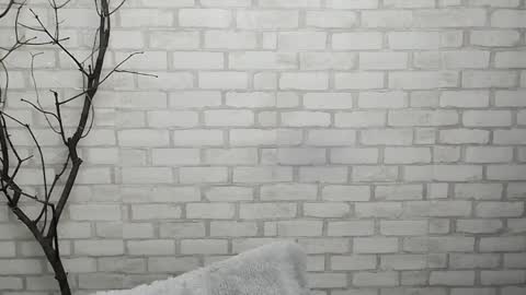 Snapshot of veryveryshygirl chatting on January 28, 2025, 12:43 pm Ana online show from January 28, 2025, 12:43 pm