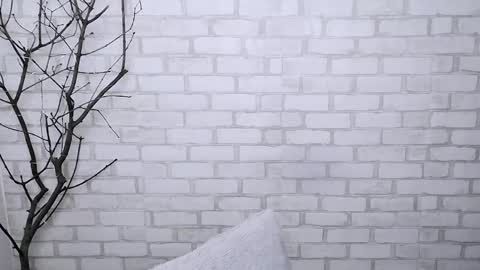 Snapshot of veryveryshygirl chatting on March 6, 2025, 11:25 am Ana online show from March 6, 2025, 11:25 am