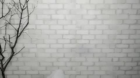 Snapshot of veryveryshygirl chatting on March 10, 2025, 9:10 am Ana online show from March 10, 2025, 9:10 am