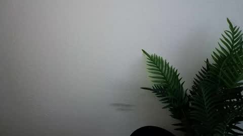 Snapshot of veryveryshygirl chatting on September 30, 2025, 12:10 pm Ana online show from September 30, 2025, 12:10 pm