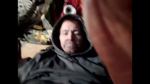 Vex online show from December 25, 2024, 8:51 am