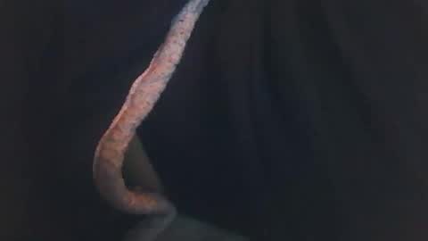 vicvictoree online show from December 14, 2025, 2:06 am