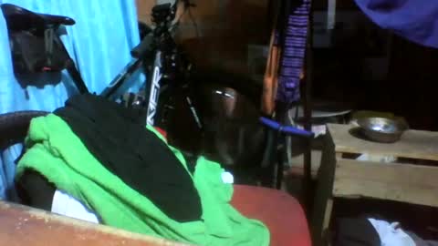 Snapshot of viernes1010 chatting on June 21, 2026, 3:03 pm viernes1010 online show from June 21, 2026, 3:03 pm