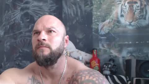 viking online show from April 15, 2026, 10:33 am