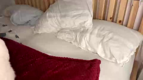 Snapshot of vince_hotgr chatting on February 1, 2025, 10:23 pm Vince online show from February 1, 2025, 10:23 pm