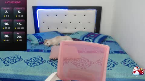 Violeta online show from December 30, 2024, 10:21 am