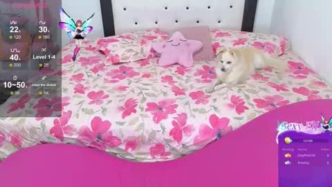 Violeta online show from February 3, 2026, 6:40 am