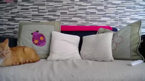 Snapshot of violetagomez_co chatting on July 7, 2026, 4:11 pm Violeta Gmez online show from July 7, 2026, 4:11 pm