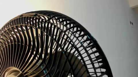 Violet Rose online show from January 5, 2026, 8:12 pm