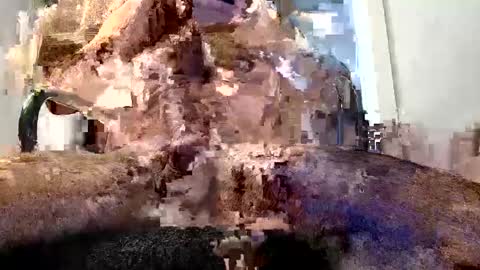 horny guy online show from May 29, 2026, 2:48 pm