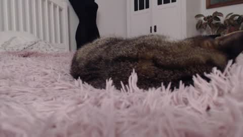 Snapshot of visceratio chatting on February 7, 2025, 9:15 pm Visceratio online show from February 7, 2025, 9:15 pm