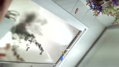 Snapshot of vivid_ether chatting on December 6, 2024, 11:54 am Viv online show from December 6, 2024, 11:54 am