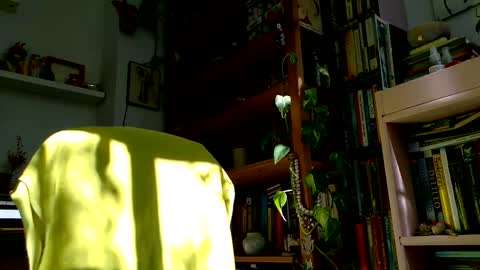 Snapshot of vivid_ether chatting on October 27, 2025, 12:09 pm Viv online show from October 27, 2025, 12:09 pm