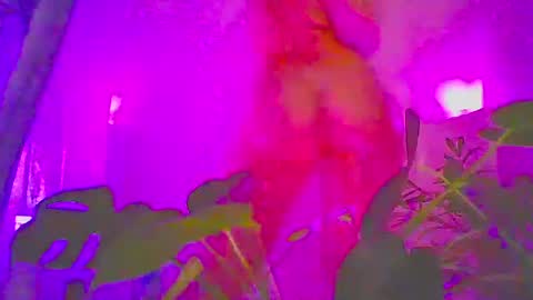 Snapshot of vixenkittenxo chatting on November 15, 2025, 5:09 pm vixenkittenxo online show from November 15, 2025, 5:09 pm