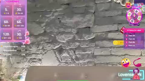 Snapshot of vixvixenn chatting on June 30, 2026, 7:42 am ANA online show from June 30, 2026, 7:42 am
