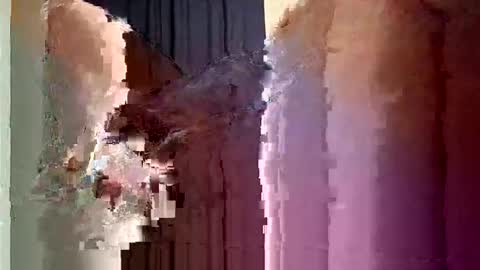 w3ll5pun online show from February 3, 2026, 10:09 am