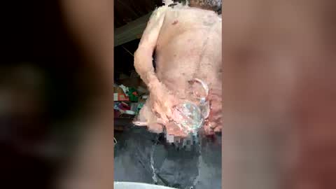 Walter online show from March 12, 2026, 5:52 pm