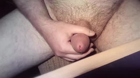 Snapshot of wanky83 chatting on December 24, 2024, 4:51 pm wanky83 online show from December 24, 2024, 4:51 pm