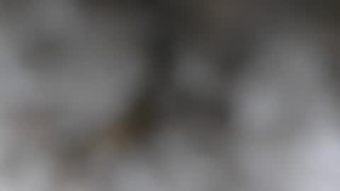 Snapshot of wantmymantofukme chatting on October 21, 2025, 6:19 pm wantmymantofukme online show from October 21, 2025, 6:19 pm