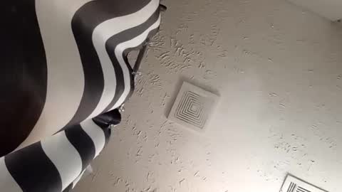 wanttowatch87 online show from February 20, 2025, 7:34 am