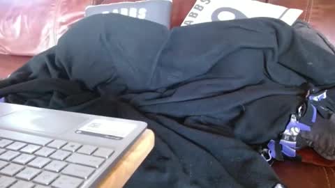 Snapshot of watchedging chatting on December 1, 2024, 10:21 pm Hereforfun online show from December 1, 2024, 10:21 pm