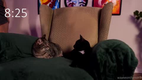 Snapshot of waynenorth chatting on February 22, 2026, 3:21 pm waynenorth online show from February 22, 2026, 3:21 pm